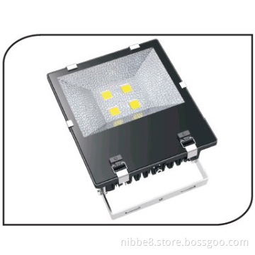 COB LED Floodlighting (FDL09-B)